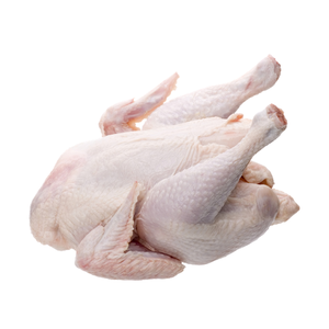 ไก่แช่แข็งฮาลาลคุณภาพรับรอง/ ปีกไก่แช่แข็ง/ ไก่ทั้งตัวแช่แข็ง - Product Image 5