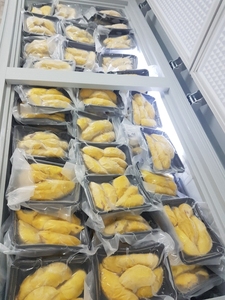 Durian Orgánico Congelado IQF a Granel, Conservado en Salmuera, Ingredientes de Fruta Tropical para Helados, Panadería y Bebidas, Vietnam - Product Image 5