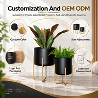 Lot de deux jardinières décoratives modernes en métal avec support doré, pots noirs étanches pour intérieur, maison, hôtel, bureau