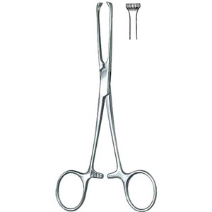 คีมจับเนื้อเยื่อ Allis Forceps สำหรับการผ่าตัด ทำจากสแตนเลสสตีล ใช้ในห้องผ่าตัดเพื่อยึดเนื้อเยื่ออย่างแน่นหนา - Product Image 5