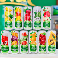 500ml de pulpe de jus de canneberge VINUT Vietnam Purée aromatisée naturelle du fabricant Meilleur prix de gros OEM/ODM Échantillon gratuit Conception
