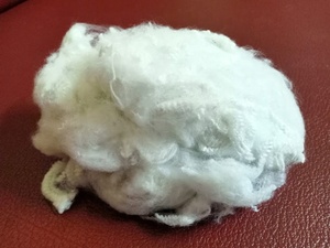 Fibra cortada de poliéster sólida blanca de grado reciclable 100% de alta calidad 2.5D51SD Spinning Vietnam Fabricante Vikohasan GRS - Product Image 3