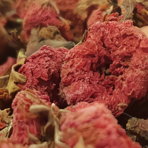 Fleurs séchées décoratives de qualité supérieure, fabriquées à partir de fleurs de grenade, offrant une élégance naturelle et une beauté intemporelle - Product Image 1