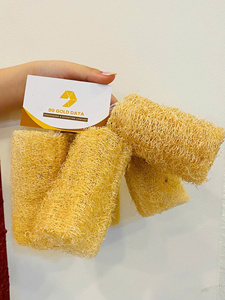 99 Gold Data Natural Dried Loofah Bath Sponge Rectangle Bulk Pack for Adults All Natural Bath Tool - Product Image 1