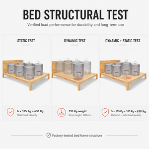OEM/ODM Vietnam Factory Vietnam Manufacturer Premium Rubberwood Storage <b>Bed</b> KD Minimalist Design Export Standard Quality - Product Image 3