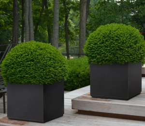 Modern <b>Square</b> Metal Planter Outdoor Garden <b>Plant</b> <b>Pot</b> Powder Coated Black Finish Minimalist Design for Green <b>Plants</b> Large Metal - Product Image 5