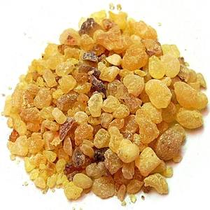 Frankincense Frereana <b>Essential</b> <b>Oil</b> | Bulk Supplier Premium <b>Essential</b> <b>Oil</b> Wholesale OEM Private Label Manufacturer - Product Image 5