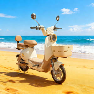 Vélo électrique 14 pouces en gros directement de l'usine |   Vélo électrique urbain à cadre en acier, 3 vitesses, 350W / 500W, 48V / 60V, batterie au plomb-acide - Product Image 3