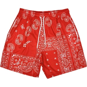 Shorts de basket-ball pour hommes en maille à motif paisley, inspirés des bandanas, respirants, pour la salle de sport et l'entraînement estival - Product Image 5