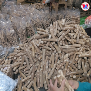 Juguete Ecológico para Perros de Alta Calidad, Hueso de Madera Natural de Árbol de Café, Sostenible, para Masticar, para Perros Mordedores Agresivos, Venta al Por Mayor - Product Image 5