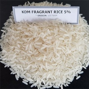 เวียดนามไทยฮอมมาลีข้าวจัสมินริซ KDM ข้าวเปลือกข้าวหอมปานต์หัก 5% - ราคาโรงงาน AA คุณภาพผู้ค้าส่ง - จัสตินNGO - Product Image 5