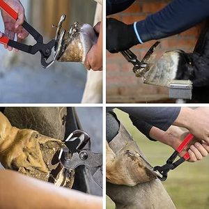Kit Profesional de Herramientas para el Cuidado de Pezuñas de Caballos, Herramientas de Herrador de Acero Inoxidable con Martillo, Alicates, Lima y Cuchillo para Recortar Pezuñas de Caballos - Product Image 4