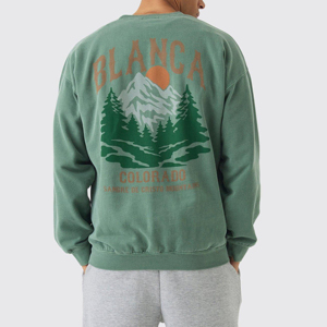 <b>Back</b> Print DTG Custom Logo Sweatshirts Men Wholesale Custom logo 350 Gsm Heavyweight High Quality Crewneck Men's Sweatshirts - Product Image 3