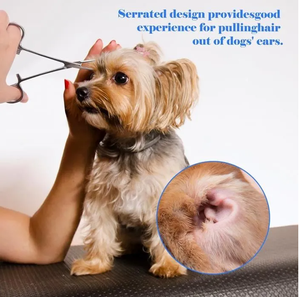 Pinzas hemostáticas Mosquito Kelly de 12.5 cm de acero inoxidable, la mejor calidad a precio mayorista, proveedor de Pakistán. - Product Image 4