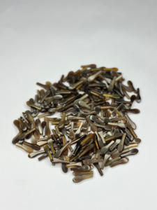Embouts en corne de buffle naturelle de qualité supérieure, durables et faits à la main, couleur brun clair, pour montures de lunettes et composants de lunettes NHE Overseas - Product Image 1