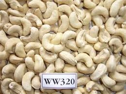 Vietnam Organic Roasted Cashew <b>Nuts</b> & <b>Kernels</b> ISO Certified Vacuum Packed Good Quality Wholesale for Export Phalco Brand Grade a - Product Image 2