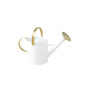 Arrosoir vintage en métal galvanisé grande capacité avec long bec verseur et poignée supérieure pour usage intérieur et extérieur - Product Image 3