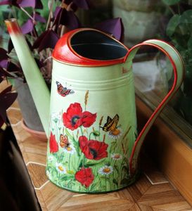 Arrosoir en métal artisanal, finition artisanale, style unique, accessoire décoratif de jardin, équipement pratique pour l'arrosage des plantes - Product Image 1