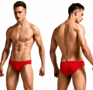 Slip de bain pour homme à imprimé loup, coupe basse, séchage rapide, sexy, athlétique, pour la plage et la piscine, short d'été - Product Image 3