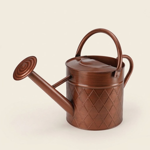 Eco-Friendly Galvanized Iron Plant Watering Can With Long Spout Vintage Metal <b>Garden</b> Pot For Indoor And Outdoor Decorative Plant - Product Image 6