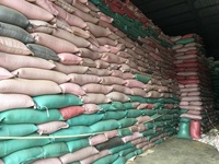 VILA++ Anna DO Grains de café vert Robusta poli à l'humide, prix compétitif, lavé, calibre 13/16/18, Grade 1 Naturel, du Vietnam
