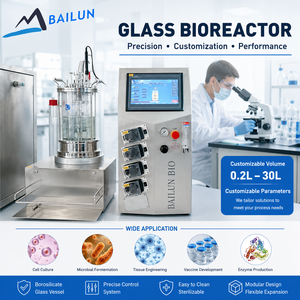Biorreactor de Vidrio de Sobremesa con Control de pH, Oxígeno Disuelto y Temperatura para Cultivo Celular y Fermentación - Product Image 1