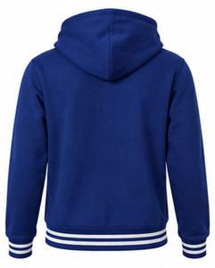 Sudadera con Capucha Personalizada de Zeta Phi Beta, de Algodón y Felpa, Bordada en la Parte Delantera, para Invierno, de Alta Calidad, para Mujeres - Product Image 3
