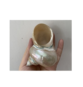 Meilleures ventes Cadre de mariage à la plage Art de coquillage/Décoration de cadre en bois de coquillage naturel - Product Image 4