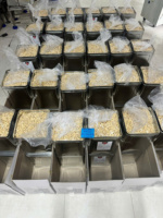 Vietnamese biologische olievrije geroosterde gedroogde cashewnoten - Topkwaliteit - Pure smaak - 12-24 maanden houdbaarheid - Groothandel