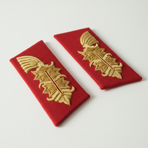 แท็บปลอกคอ OEM พร้อมกระดุมทองเหลืองแผ่นปะติดปลอกคอเครื่องแบบเจ้าหน้าที่พร้อมคลิปทองเหลืองสีทองด้านหลัง - Product Image 5