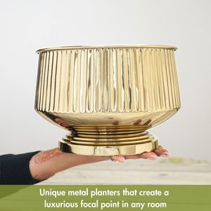 Pot de fleurs moderne en laiton plaqué or avec un design circulaire pour une utilisation sur un bureau intérieur - Product Image 4