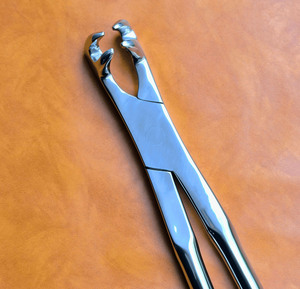 Forceps dentaire équin de 21 pouces, outil d'extraction dentaire vétérinaire à quatre griffes - Product Image 2