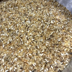 Riz sec de rejet de haute qualité pour l'exportation en gros, à faible coût, d'origine indienne, destiné à l'alimentation - Product Image 2