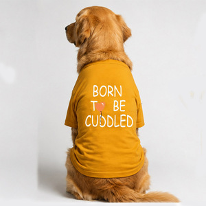 Camiseta Premium de Algodón de Alta Calidad para Perro, Cuello Redondo, Color Amarillo, Tela Suave, Cómoda y Duradera, Ropa Premium para Mascotas - Product Image 2