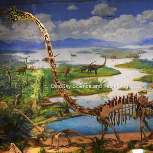 Nhà máy trực tiếp sống động như thật khủng long Bộ Xương Brachiosaurus hóa thạch cho công viên chủ đề thu hút dinosky - Product Image 5