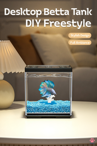 ตู้ปลาตั้งโต๊ะแบบมินิ วัสดุใส ทนทานต่อการแตกหัก พร้อมช่องให้อาหาร เหมาะสำหรับตกแต่งโต๊ะทำงาน - Product Image 3