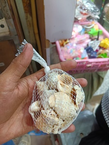 เปลือกหอยทะเลธรรมชาติแบบเดี่ยว แพ็คตกแต่งเปลือกหอยทะเลสำหรับงานฝีมือ ตกแต่งตู้ปลา แจกัน ของตกแต่งบ้าน ขัดเงาอย่างเป็นธรรมชาติ - Product Image 4