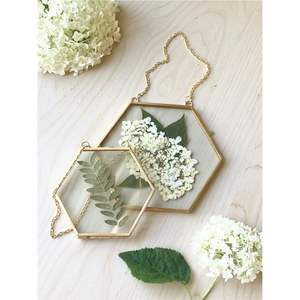 Nordic Gold Brass Hanging Glass <b>Photo</b> <b>Frame</b> Floating Herbarium Display <b>Double</b> <b>Sided</b> Metal Picture <b>Frame</b> for Pressed Flowers - Product Image 6