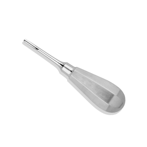 Elevador Dental Profesional de Extracción de Dientes, Recto, de Acero Inoxidable, 2.5mm, Instrumento para Rellenar Dientes - Product Image 2