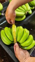 Verse Premium Groene Cavendish Banaan Tropisch Fruit Hele Stuk Uit Vietnam voor Detailhandel en Groothandel Japan Korea