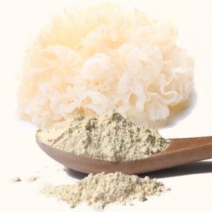 Polvo de Hongo Tremella de Alta Calidad, Suministro a Granel, Polvo de Hongo de Nieve para Belleza, Nutrición y Formulaciones Herbales, Venta al Por Mayor OEM - Product Image 2