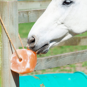 Sel rose de l'Himalaya pour le bétail, complément alimentaire minéral naturel pour animaux, vente en gros en vrac - Product Image 6