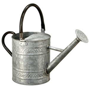 Arrosoir en acier galvanisé de haute qualité avec poignée durable, arrosoir de jardin classique en métal pour plantes d'intérieur et d'extérieur - Product Image 5