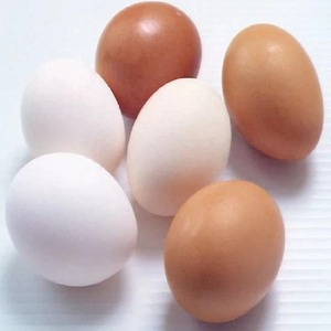 Huevos de gallina blancos y marrones recogidos, con sabor fresco, clasificación limpia y listos para exportación, envasados en cartón para proveedores de alimentos. - Product Image 5