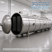 Industriële fruit- en groente-vriesdroogmachine FFD-100, ca. 100 m² 1000 kg partij voor de verwerking van ingrediënten en snacks