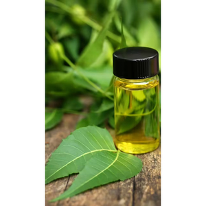 Huile de graines de Neem biologique et naturelle en gros pour la lutte antiparasitaire agricole - Product Image 3