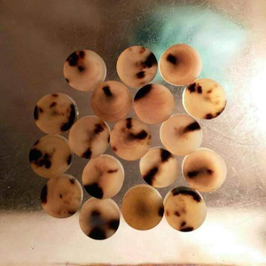 Boutons en agate et corne de buffle naturels de qualité supérieure, faits à la main, écologiques, style animal sculpté - Product Image 2