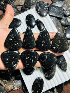 High Quality Turritella Jasper Mixed Shape Cabochons Natural Stone Gemstone Mahnaj Gems Brand Rajasthan Origin for Jewelry - Product Image 2