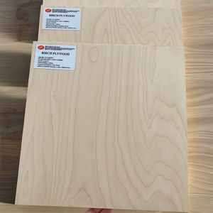 Contrachapado de Abedul de Alta Calidad Grado DD, 9, 12, 15, 18, 21 mm, Antideslizante, Ecológico, Material de Vietnam, Tablero, Lámina, Panel para Construcción - Product Image 2