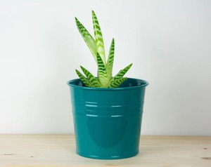 Pot de fleurs décoratif en métal vert pour la maison, le jardin, le balcon, la terrasse, le salon, l'entrée et les présentoirs de plantes en extérieur - Product Image 1